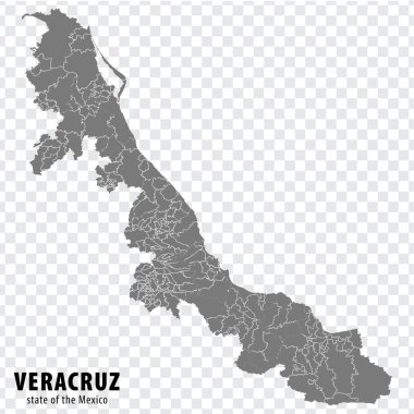 Meksika eyaleti Veracruz haritası şeffaf bir arkaplanda. Web sitesi tasarımı, logosu, uygulaması ve UI için gri bölgeleri olan Veracruz 'un boş haritası. Meksika mı? EPS10.