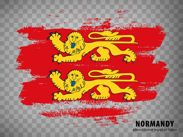 Флаг Нормандии Мазков Кистью Фантастический Регион Нора Франции Названием Прозрачном — стоковый вектор