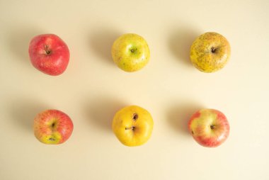 Pastel bej arka planda altı organik doğal yetişmiş elma. Düz düzenleme.