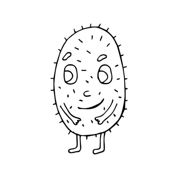 Funny cartoon kiwi character. Vegetables and fruits. Vector illustration. Isolated. Doodles. Comics. — Stok Vektör