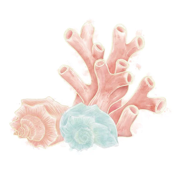 Composição Ilustrações Aquarela Corais Conchas Fundo Branco Enredo Decorativo — Fotografia de Stock