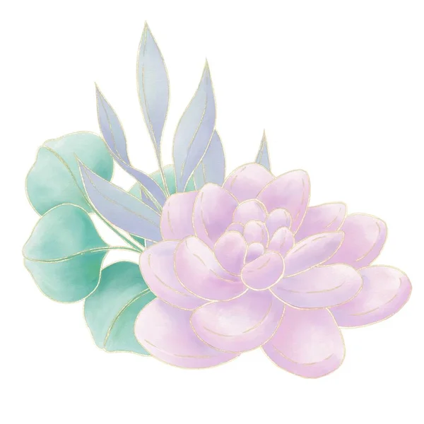 Composição Simples Ilustração Suculentas Rosa Decoradas Com Galhos Azuis Verdes — Fotografia de Stock