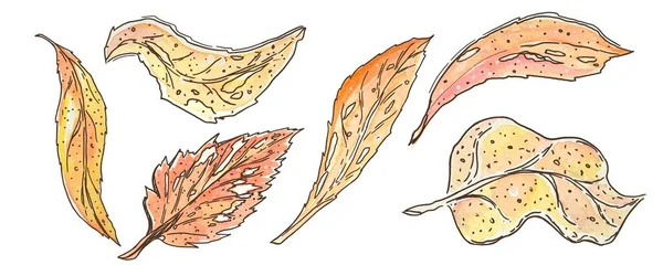 Eine Reihe Von Dekorativen Aquarell Illustrationen Herbstblätter Mit Orangen Und — Stockfoto