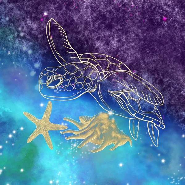 Dekorative Komposition Golden Glänzende Konturierte Und Geschlüpfte Illustrationen Schildkröte Seestern — Stockfoto