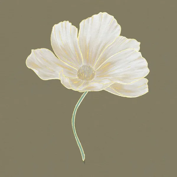 Illustration Aquarelle Une Fleur Marguerite Blanche Avec Contour Doré Sur — Photo