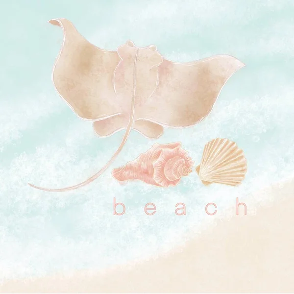 海をテーマにしたイラスト ビーチや海の波を背景にしたケチや貝殻 — ストック写真