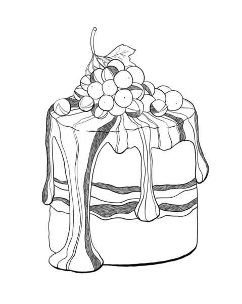 Contour Decorative Illustration Cake Icing Decorated Sprig Curran — Stock Photo, Image