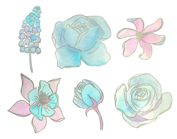 Eine Reihe Von Aquarellillustrationen Blaue Und Rosa Blumen Isolierte Elemente — Stockfoto