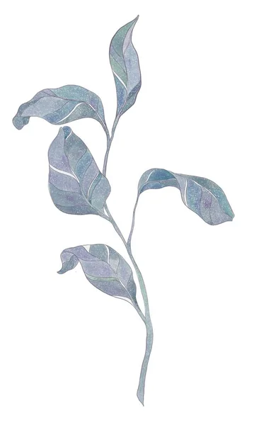 Dekorative Illustration Blauer Zweig Isoliertes Element Auf Weißem Hintergrund — Stockfoto
