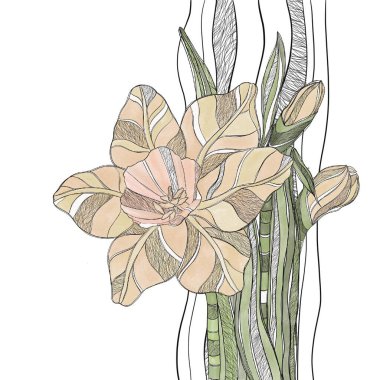 Çiçeklerin dekoratif kompozisyonu ve beyaz arka planda narsislerin yarım tonu, dekoratif çizimler.