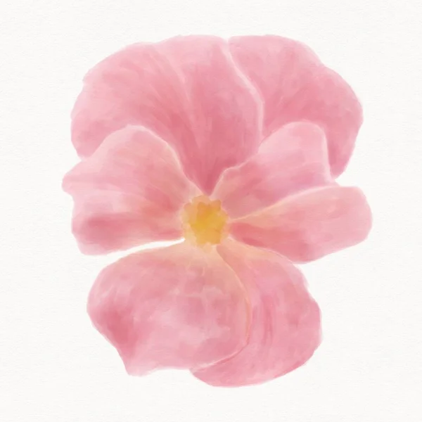 Watercolor Pink Forget Flower Image Isolated Object White Background — Fotografia de Stock