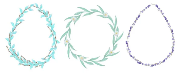 Комплект Декоративных Рамок Акварельные Иллюстрации Цветов Ромашки Ивы — стоковое фото