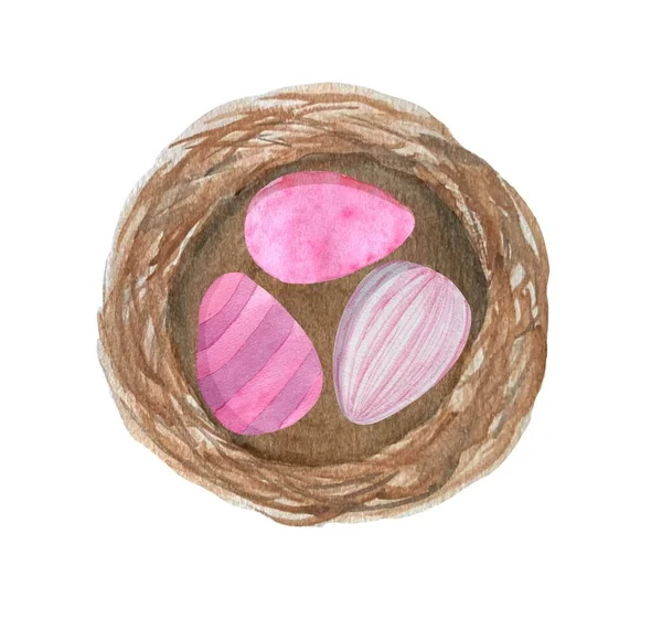 Пасхальные Акварельные Иллюстрации Гнездо Окрашенными Розовыми Яйцами — стоковое фото