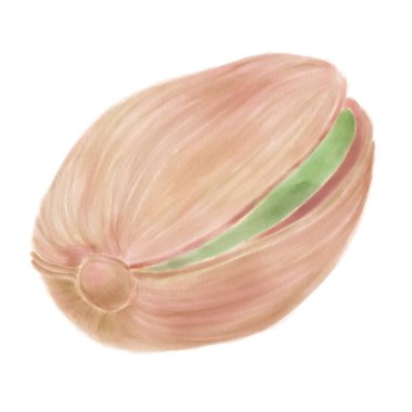 Beyaz bir arka planda suluboya ile boyanmış fıstıklı bir fındık resmi.