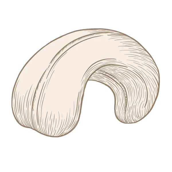 Nut Symbol Beige Contour Drawing Cashew Nut — Stock Photo, Image
