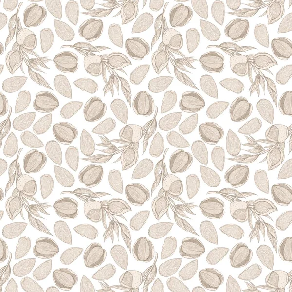 Ilustración Decorativa Beige Sin Costuras Ramas Almendras —  Fotos de Stock