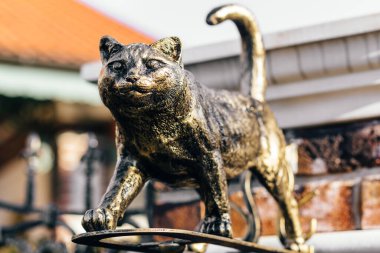 Evin girişinde bronz bir kedi heykeli var..