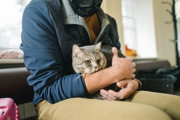 Man wearing protective mask with pet waiting in lobby for medical examination at veterinary clinic. Animal health. Owner of gray British cat waiting in lobby of animal clinic and is worried.