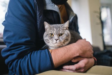Gri İskoç heteroseksüel bir kedinin yüz maskesi takan beyaz erkek veteriner kliniğinin lobisinde evcil hayvanlar için bir doktorla randevu bekliyor. Hayvanlı veteriner kliniği ziyaretçisi.