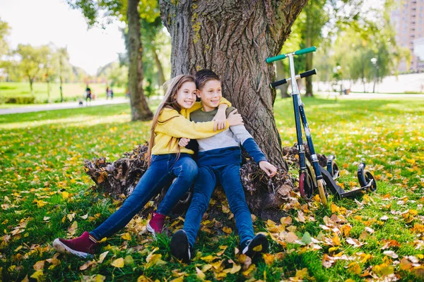 朋友们 孩子们坐在秋天公园的一棵树下快乐地摆姿势 踢着摩托车 快乐的孩子们生态交通 户外运动双胞胎 兄妹在大自然的怀抱中欢笑 — 图库照片