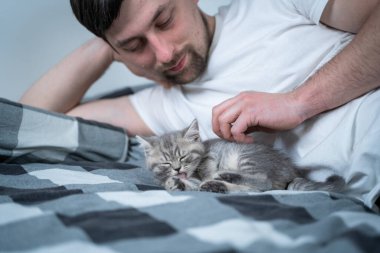 En iyi arkadaşlar kestiriyor. Adam yatağa uzanıp küçük İngiliz kedisiyle oynuyor. Sahibi ve evcil kedi hayvanı arasındaki ilişki. Sevimli tüylü kedi yavrusu İskoç cinsi heteroseksüellerle vakit geçirir..