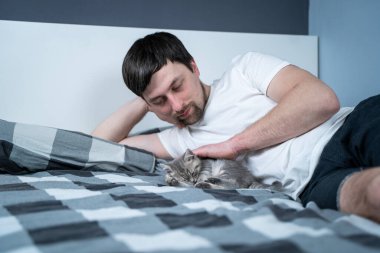 Tema, evcil hayvanlara sevgi, ilgi ve koruma. Bebek gri İskoç heteroseksüel kediyle yatakta güneşlenen bir adam. Erkek sarılır ve kediyi yatak odasında okşar. Kedi sever, uykuya dalan hayvanını nazikçe korur..