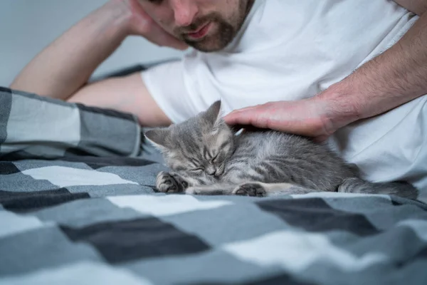 Melhores Amigos Dormir Sesta Homem Deita Cama Brinca Com Gatinho — Fotografia de Stock