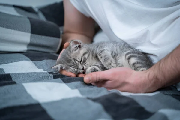 Sahabat Tidur Siang Man Berbaring Tempat Tidur Dan Bermain Dengan — Stok Foto