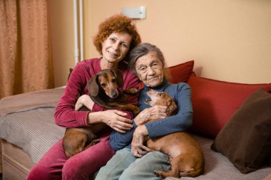 Yetişkin bir kadın bunamış yaşlı annesiyle ilgilenir, evde ebeveyn ve köpeklerle vakit geçirir, gülümser ve evde mutlu bir şekilde dinlenir. Yaşlılar ve yaşlılar için bakım teması, evde bakım.