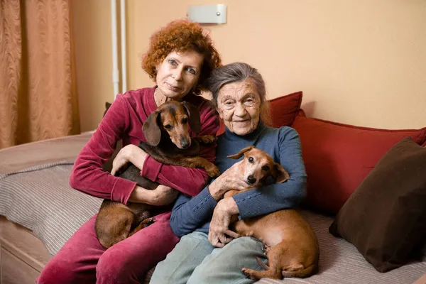 大人の女性は認知症のお母さんの世話をし 親や犬と一緒に家で時間を過ごし 笑顔で楽しく屋内をリラックスします 高齢者や高齢者のケア 在宅ケアをテーマに — ストック写真