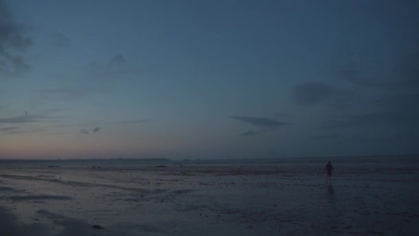 Homme promenades touristiques le long de la côte après l'océan Atlantique marée basse pendant le coucher du soleil dans le nord de la France dans la région de Bretagne. Ebb à la côte bretonne. Plage de sable panoramique et refluence de la mer — Video
