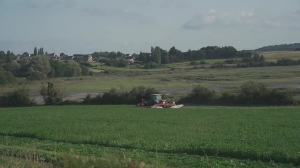Harvesting machine works in a field in northern France in the Brittany region. Harvesting cereals and legumes on large plantations using agricultural machinery. Tractor ploughing field. Agribusiness — Stock video