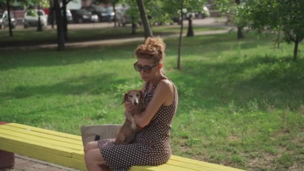 Una hembra anciana descansando en un abrazo con una mascota en un banco en un parque de verano. Una mujer madura con un perro salchicha se sienta en un banco en un parque de la ciudad en un clima soleado. Estilo de vida. Propietario y animal — Vídeos de Stock
