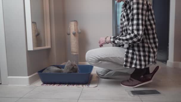 シニア女性は自宅でペットと一緒に新しい猫のごみ箱を組み立てます。猫と遊ぶ高齢女性はペットがトイレに行くためのフード付きのごみ箱を設定します。ペットケア、衛生コンセプト。フード付き猫リターズパン — ストック動画