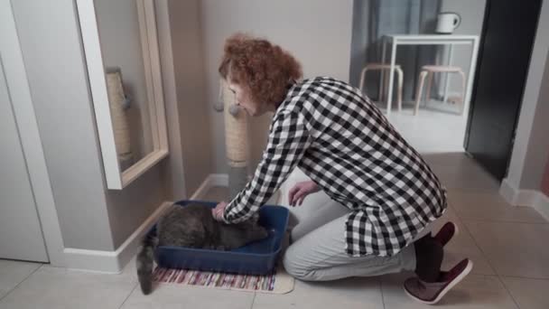 Yaşlı kadın evde evcil hayvanla birlikte yeni kedi kumluğu monte ediyor. Kediyle oynayan yaşlı bir kadın evcil hayvanın tuvalete gitmesi için kapüşonlu çöp kutusu koyuyor. Hayvan bakımı, hijyen konsepti. Kapüşonlu kedi kumu. — Stok video