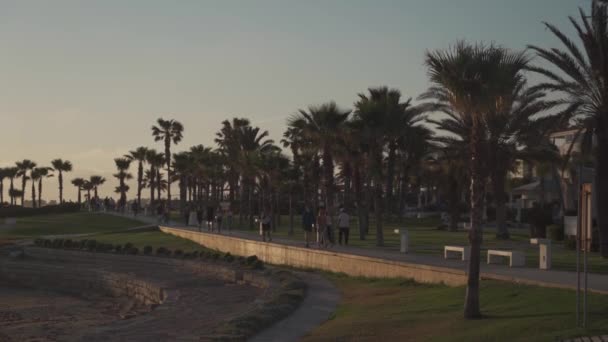 Cypr. Pathos. 15 maja 2021. Wieczorna promenada z palmami i promenadą wzdłuż hoteli w pobliżu morza i ludzi spacerujących. Śródziemnomorski kurort w czasie zachodu słońca — Wideo stockowe