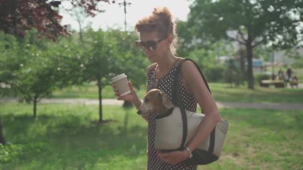 An elderly Caucasian woman strolls with her dog in a pet carrier bag and drinks coffee, in sunny summer weather — Stock Video