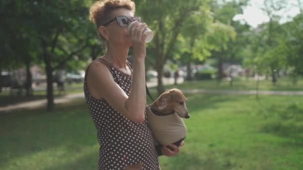 Maduro, mulher esbelta andando seu cão dachshund em um saco de transporte e beber café para ir no tempo ensolarado verão — Vídeo de Stock