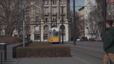 8 Mart 2022. Macaristan. Budapeşte. Tipik bir sarı tramvay güneşli bahar havasında şehrin ana caddelerinde hareket eder.