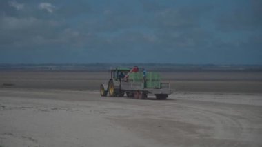 20 Ağustos 2021 Fransa. Aziz Benoit des Ondes. İşçiler, Fransa 'nın kuzeyindeki Atlantik Okyanusu' nun alçak gelgiti sırasında istiridye ve kabuklu deniz hayvanı toplamak için traktör kullanıyorlar.