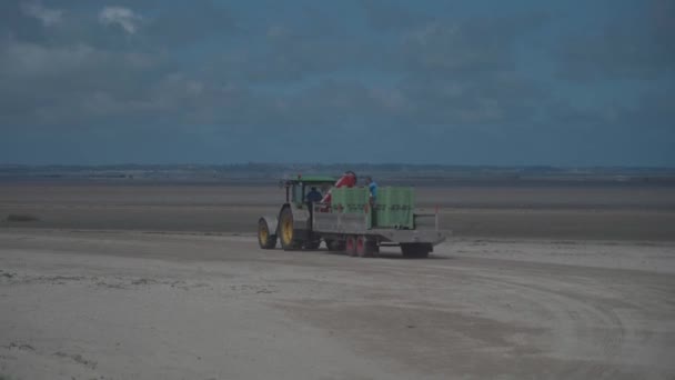 20 Agustus 2021 Perancis. Saint benoit des ondes. Para pekerja mengendarai traktor untuk mengumpulkan tiram dan kerang selama pasang surut Samudra Atlantik di wilayah utara Prancis, Brittany — Stok Video