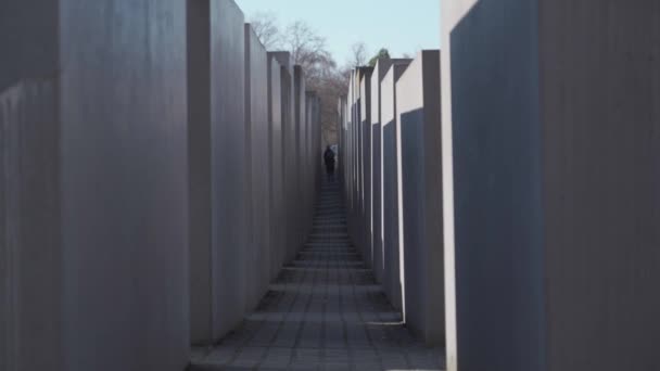 10 marzo 2022. Berlino. Memoriale commemorativo per commemorare le vittime dell'Olocausto. Blocchi grigi e concreti sulla piazza in memoria delle vittime del regime nazista — Video Stock