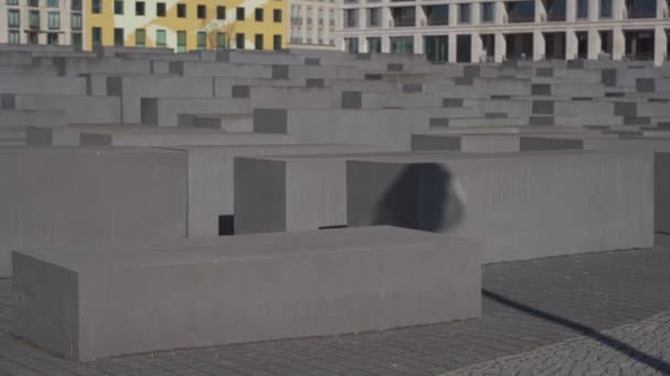 Berlin. Almanya. Öldürülen Avrupa Yahudileri ya da Soykırım Anıtı. Yahudi kurbanları için soykırım anıtı — Stok video