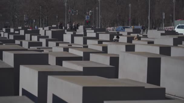 March 10, 2022. Berlin. Germany. Memorial to the Murdered Jews of Europe or Holocaust. Holocaust Memorial to the Jewish victims — Stockvideo