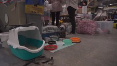 15 Mart 2022 Berlin, Almanya. Ana istasyon. Berlin gönüllüleri Ukraynalı mültecilere ve hayvanlarına yardım ediyor. 