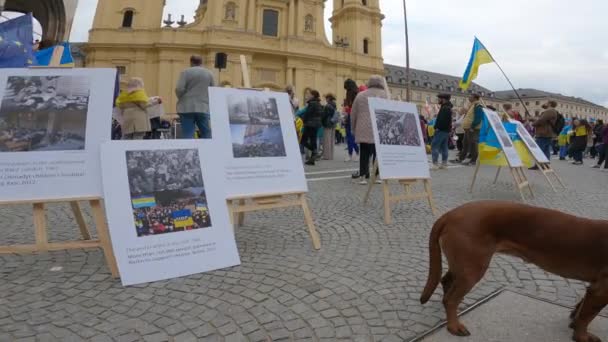 Mei München Duitsland Protest Van Oekraïners Odeonsplatz Rally Tegen Oorlog — Stockvideo
