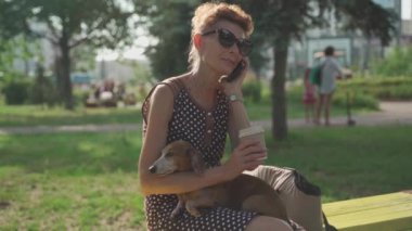 Yaz güneşinde parkta elinde daksund köpeği olan ve kahve içen yaşlı bir kadın. Kasabada uzanıp kahve içen ve telefonda konuşan küçük bir köpeğin kıdemli bayan sahibi.