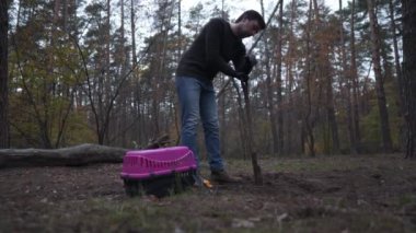A sad man is digging a grave with a shovel for a pet mitt. The owner of the dead cat makes his grave and cries. Illegal burial of an animal in the woods. Gravedigger at work. RIP pets.