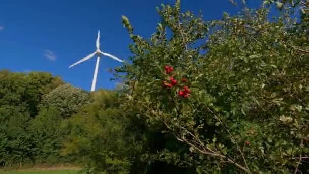 Rüzgar Türbini Gut Grosslappen Münih Bavyera Almanya Münih Almanya Daki — Stok video