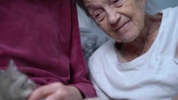 Una Hija Revisa Vieja Madre Asilo Ancianos Trae Gatito Para — Vídeo de stock